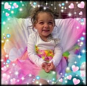 Meet your Posher, Ginger